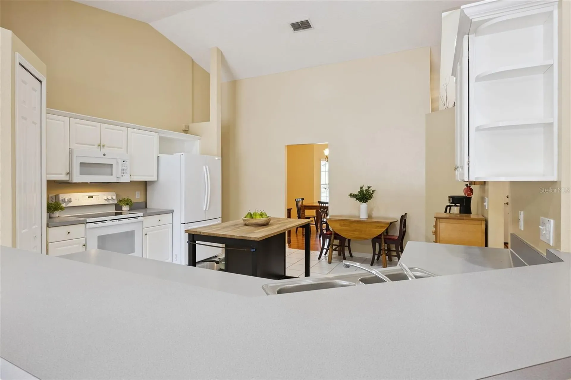 1035 Chase Drive Winter Garden FL 34787