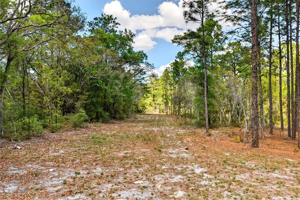 7576 N Heller Avenue Dunnellon FL 34433