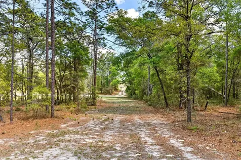 7576 N Heller Avenue Dunnellon FL 34433
