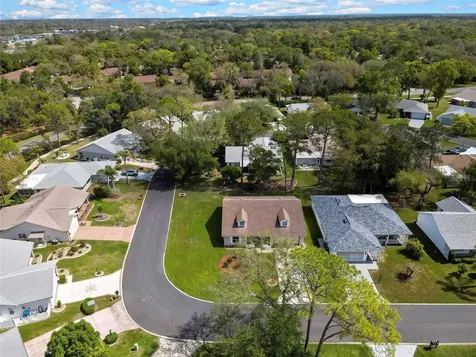 6433 Lost Tree Lane Spring Hill FL 34606