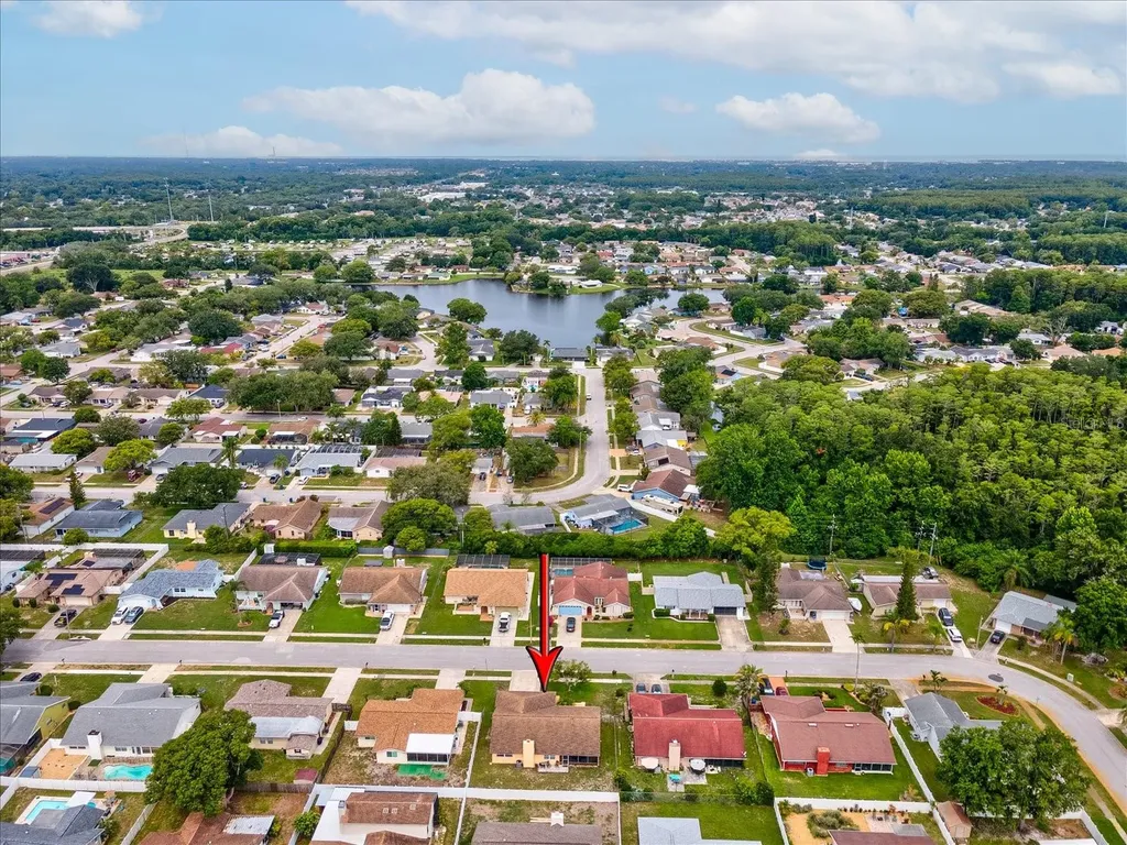 4242 Riverwood Drive New Port Richey FL 34653