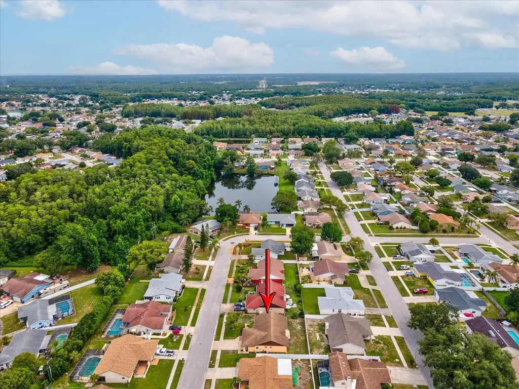 4242 Riverwood Drive New Port Richey FL 34653