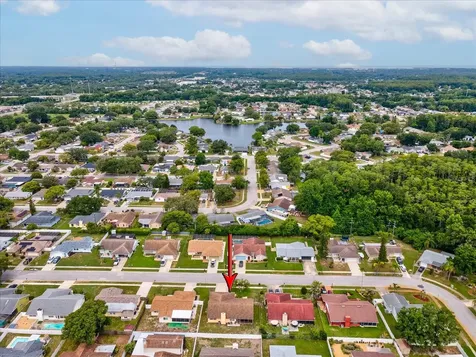 4242 Riverwood Drive New Port Richey FL 34653