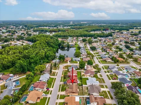 4242 Riverwood Drive New Port Richey FL 34653