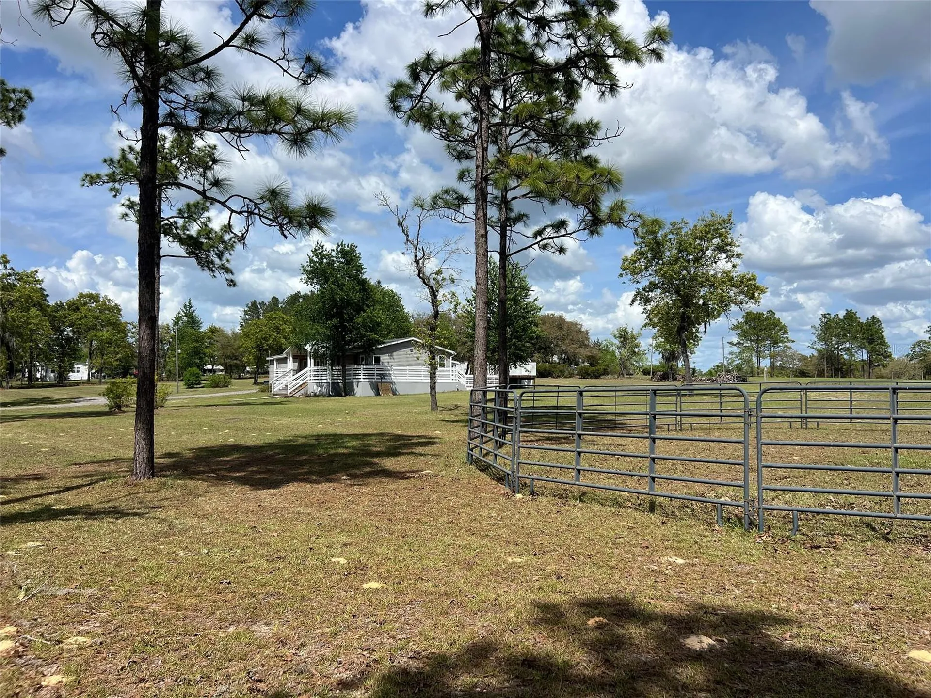 5351 NE 121st Terrace Williston FL 32696