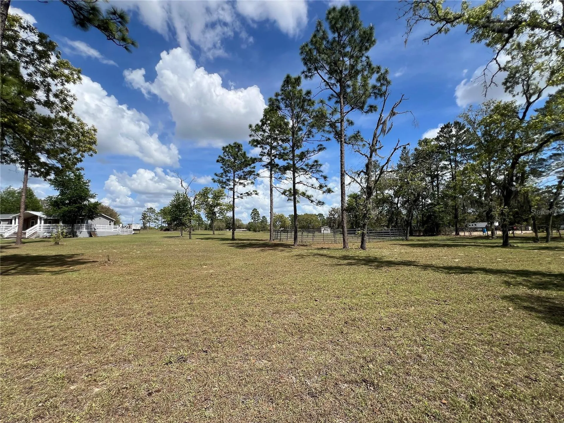 5351 NE 121st Terrace Williston FL 32696