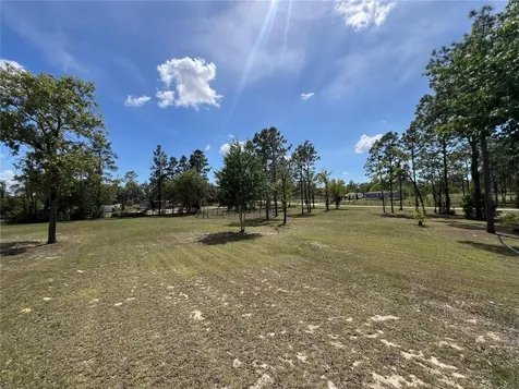 5351 NE 121st Terrace Williston FL 32696