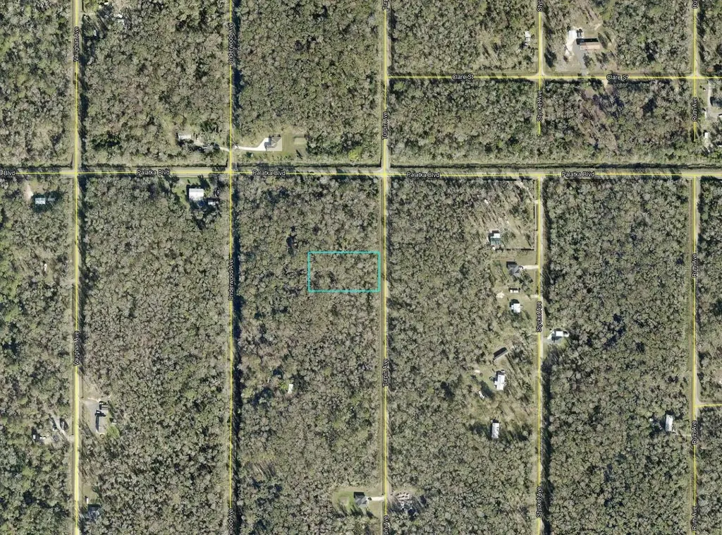 10625 Turpin Avenue Hastings FL 32145