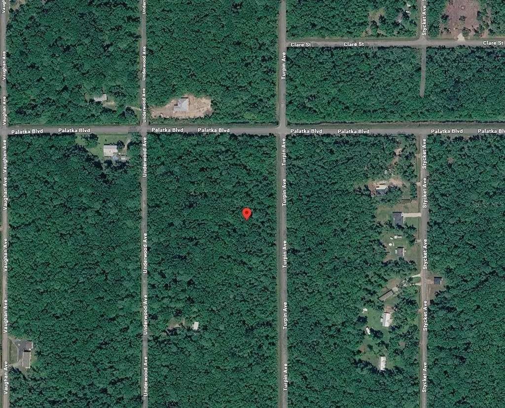 10625 Turpin Avenue Hastings FL 32145
