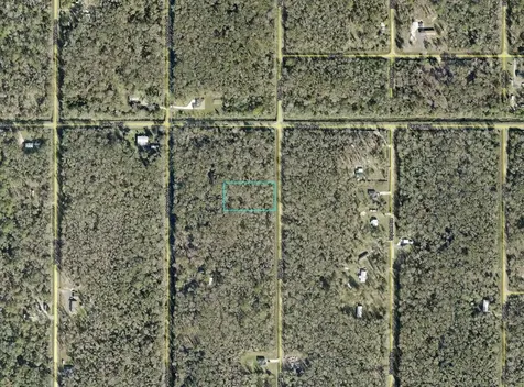 10625 Turpin Avenue Hastings FL 32145