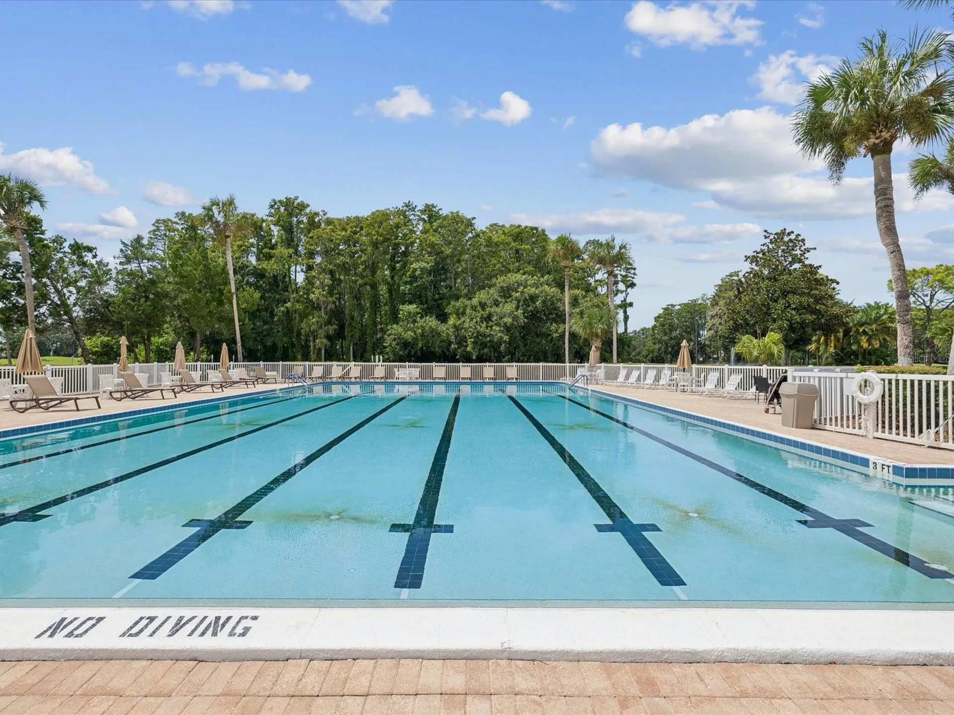3636 Trophy Boulevard New Port Richey FL 34655