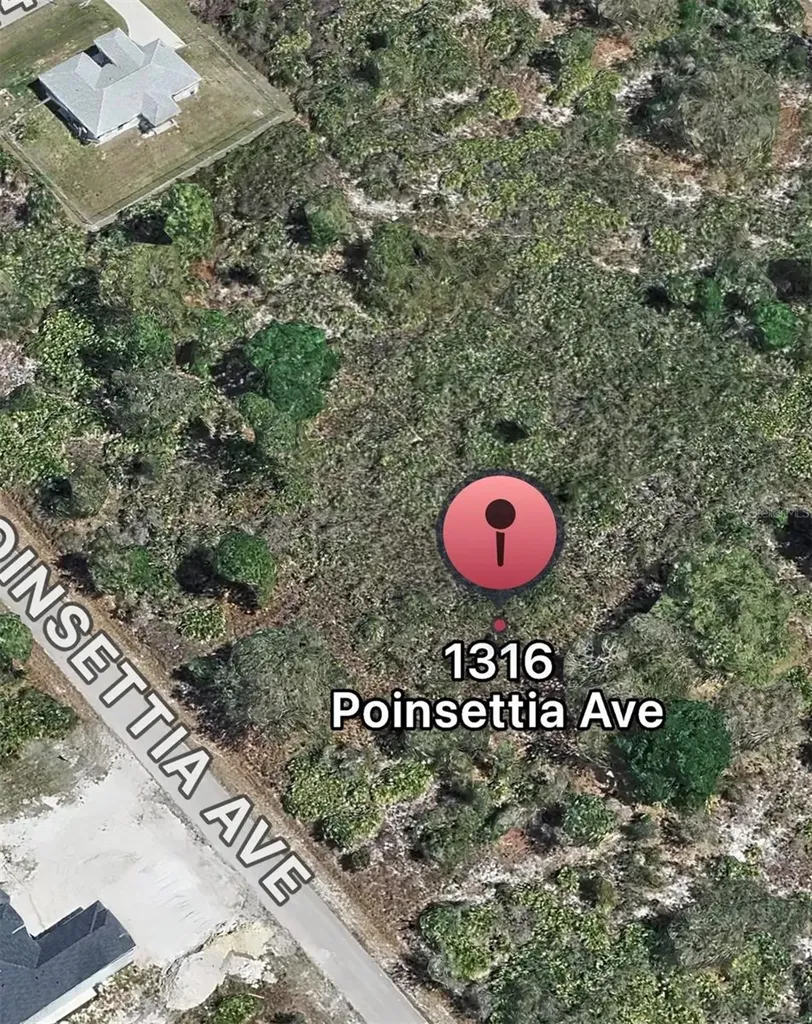 1316 Poinsettia Avenue Lehigh Acres FL 33972