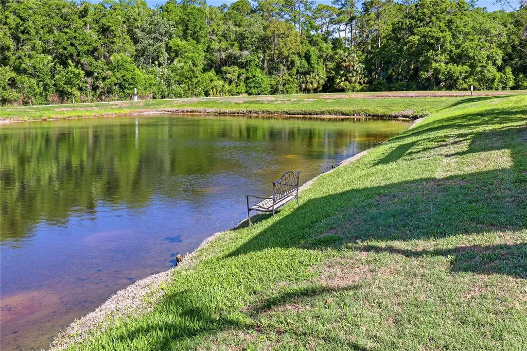 1737 Virginia Willow Drive Wesley Chapel FL 33544