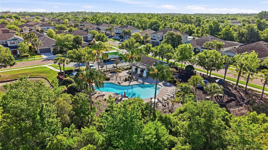 1737 Virginia Willow Drive Wesley Chapel FL 33544