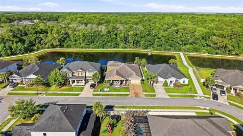 1737 Virginia Willow Drive Wesley Chapel FL 33544