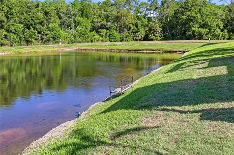 1737 Virginia Willow Drive Wesley Chapel FL 33544