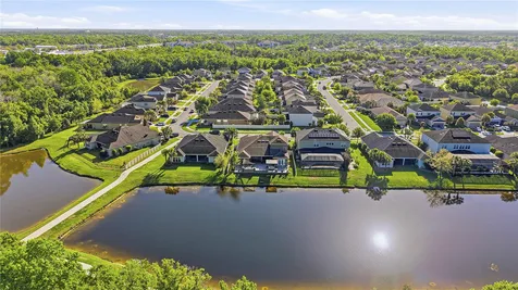 1737 Virginia Willow Drive Wesley Chapel FL 33544