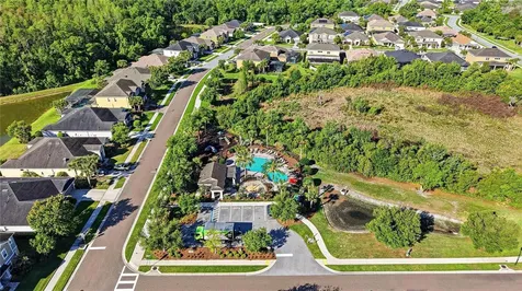 1737 Virginia Willow Drive Wesley Chapel FL 33544