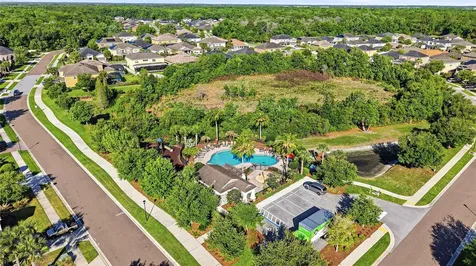 1737 Virginia Willow Drive Wesley Chapel FL 33544