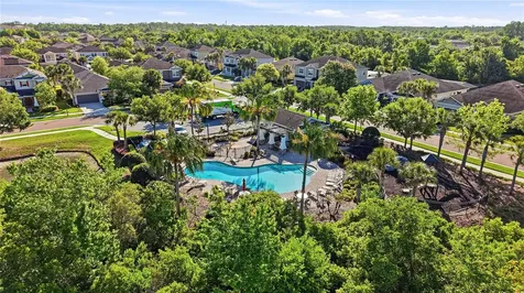 1737 Virginia Willow Drive Wesley Chapel FL 33544