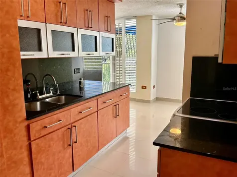 426 Ensenada Borinquen Towers Iii San Juan PR 00920