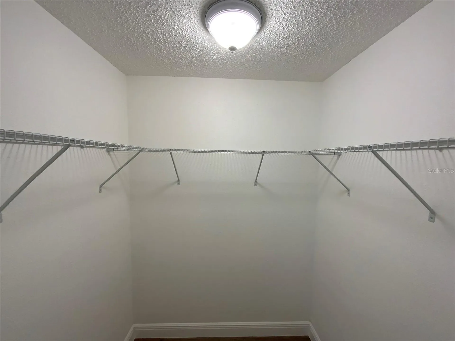 305 E Wellington Court Tampa FL 33604