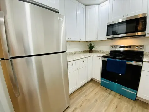 305 E Wellington Court Tampa FL 33604