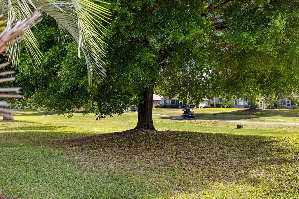 13131 SE 91st Court Road Summerfield FL 34491