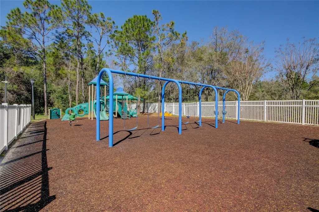 5245 Gato Del Sol Circle Wesley Chapel FL 33544