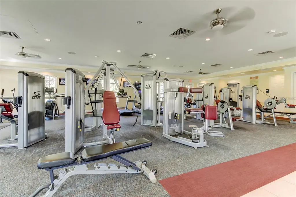 5245 Gato Del Sol Circle Wesley Chapel FL 33544
