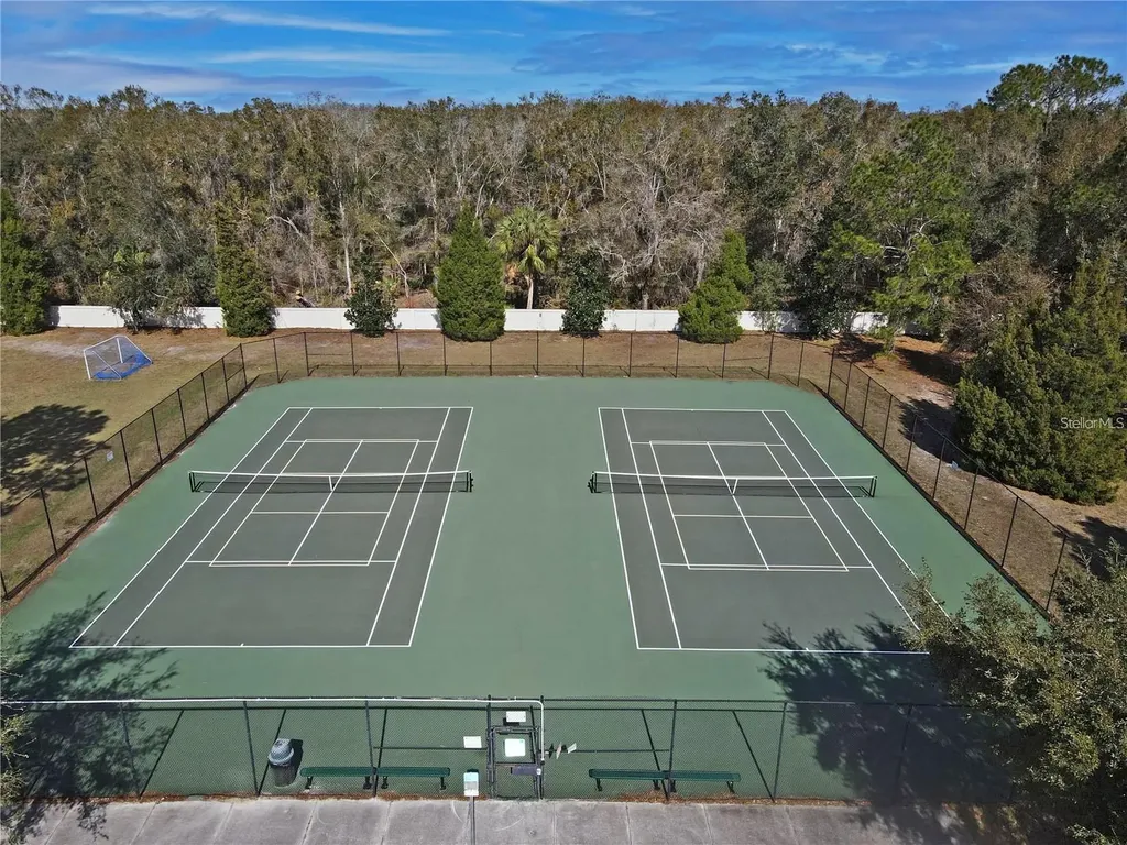 5245 Gato Del Sol Circle Wesley Chapel FL 33544
