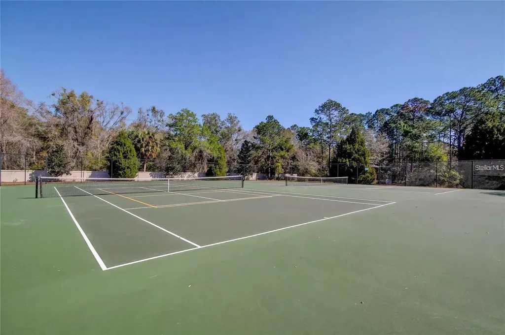 5245 Gato Del Sol Circle Wesley Chapel FL 33544