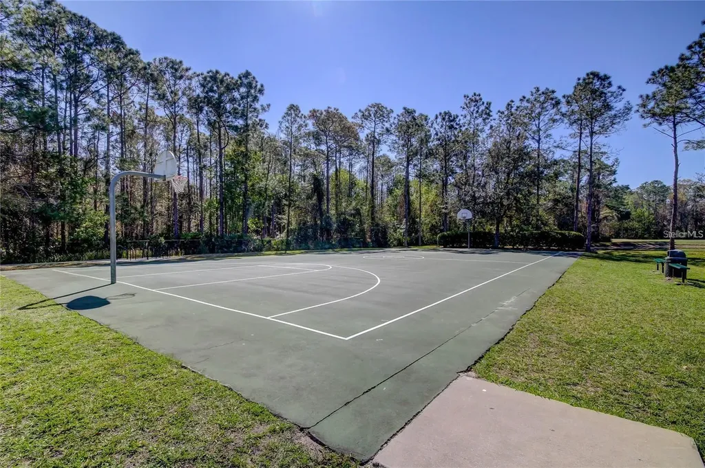 5245 Gato Del Sol Circle Wesley Chapel FL 33544