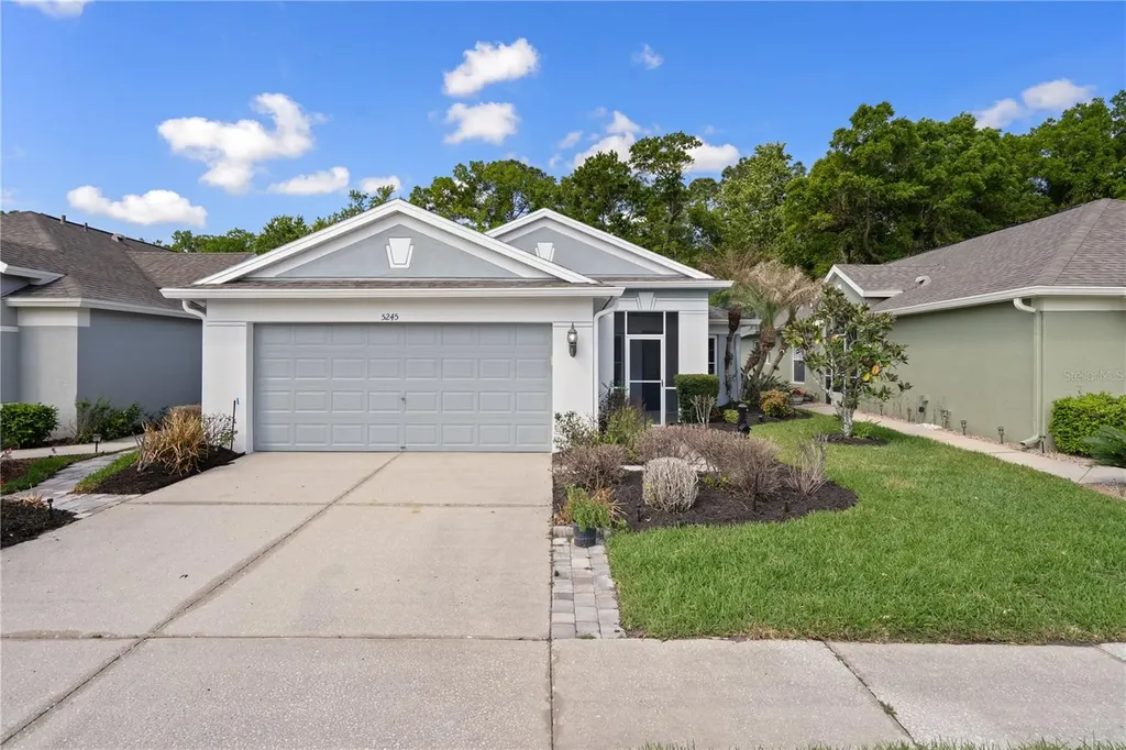 5245 Gato Del Sol Circle Wesley Chapel FL 33544