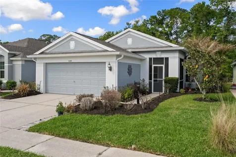 5245 Gato Del Sol Circle Wesley Chapel FL 33544