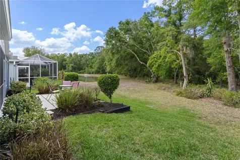 5245 Gato Del Sol Circle Wesley Chapel FL 33544