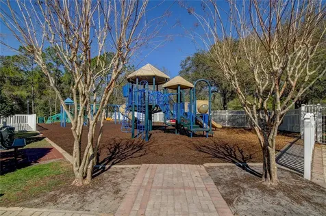 5245 Gato Del Sol Circle Wesley Chapel FL 33544