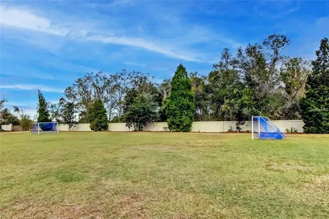 5245 Gato Del Sol Circle Wesley Chapel FL 33544