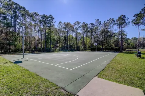 5245 Gato Del Sol Circle Wesley Chapel FL 33544