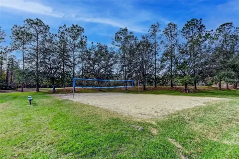 5245 Gato Del Sol Circle Wesley Chapel FL 33544
