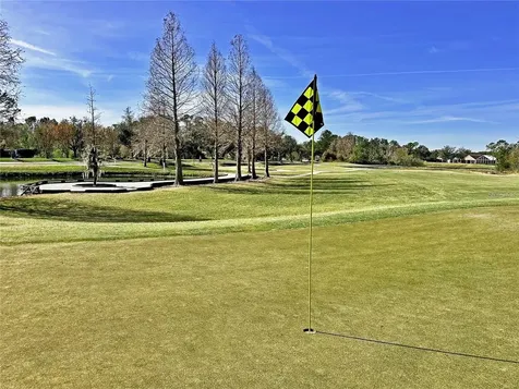 5245 Gato Del Sol Circle Wesley Chapel FL 33544