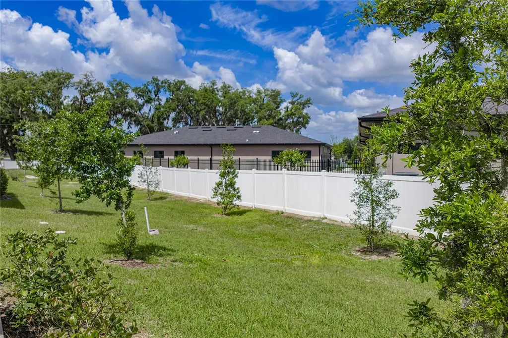 30688 Veridian Way Wesley Chapel FL 33543