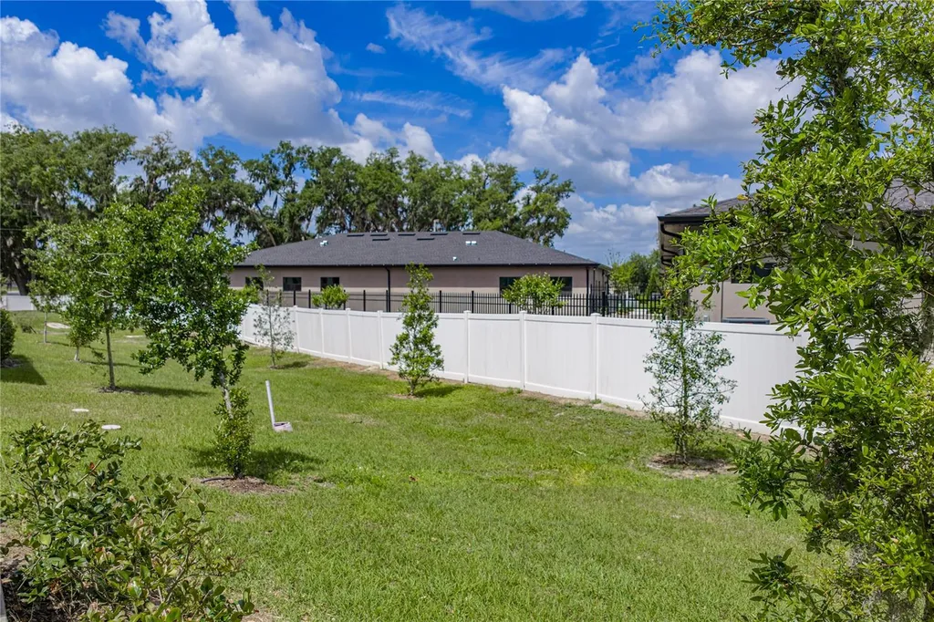 30688 Veridian Way Wesley Chapel FL 33543