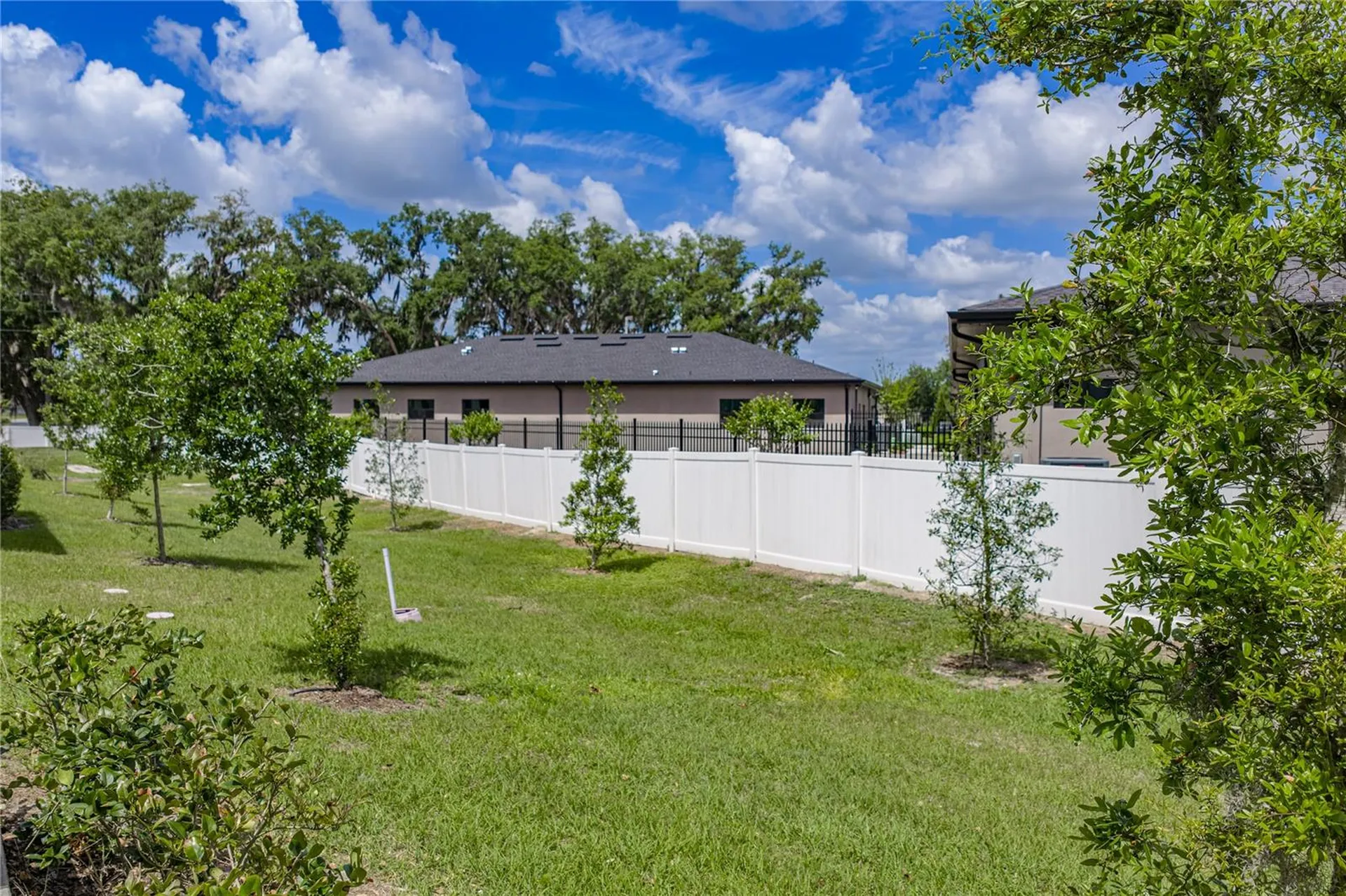 30688 Veridian Way Wesley Chapel FL 33543