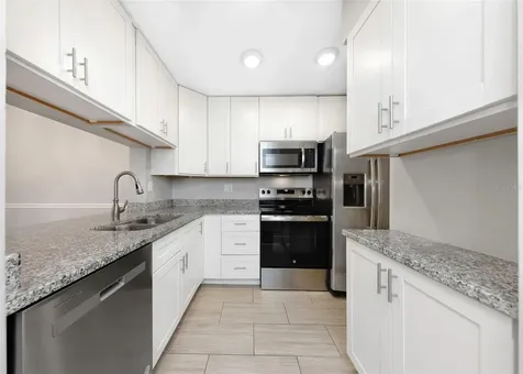 1308 Pine Ridge Circle E Tarpon Springs FL 34688