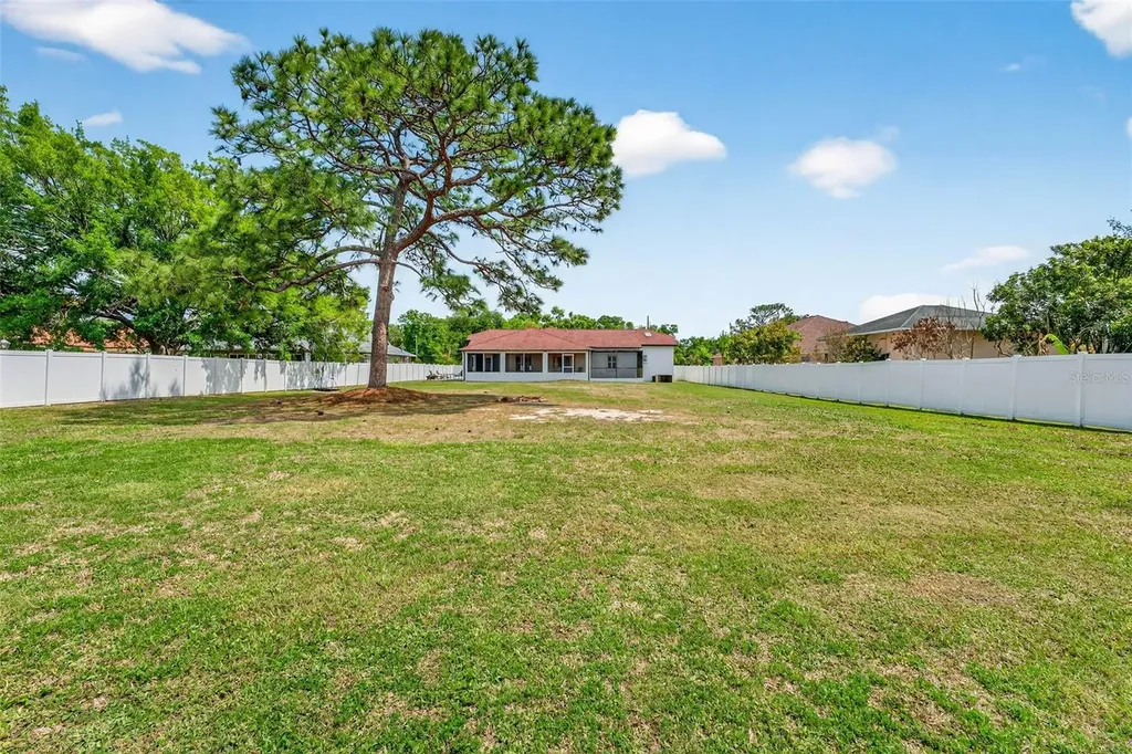 15308 Otto Road Tampa FL 33624