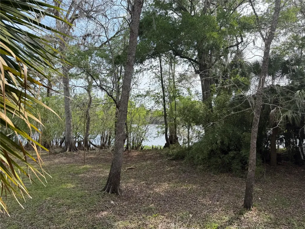 124 NE 824th Street Old Town FL 32680
