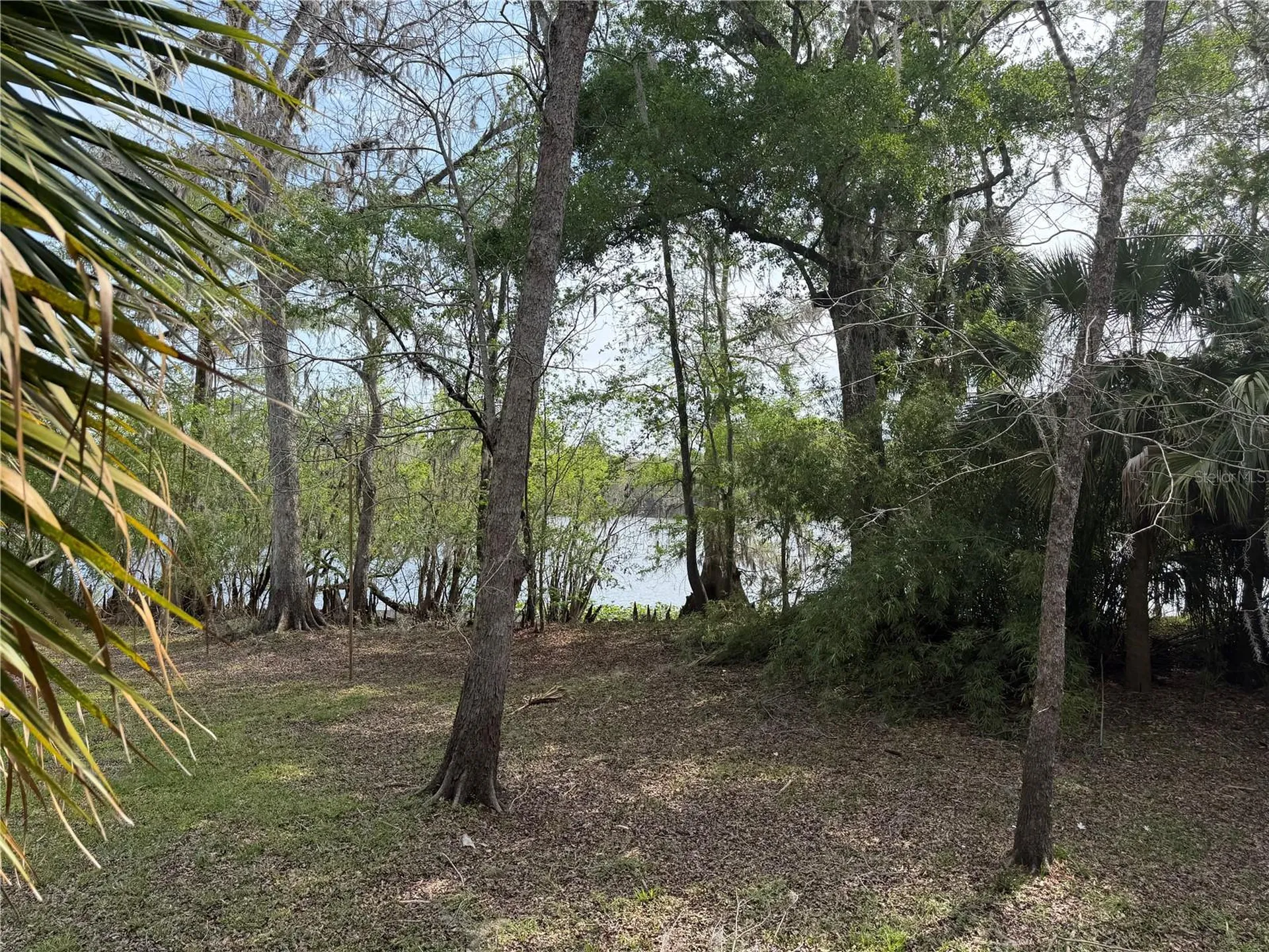 124 NE 824th Street Old Town FL 32680