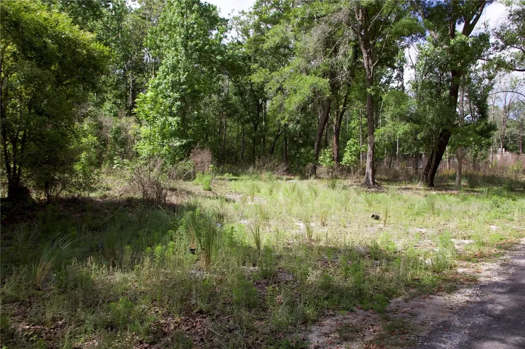 1920 10th Street Orlando FL 32820
