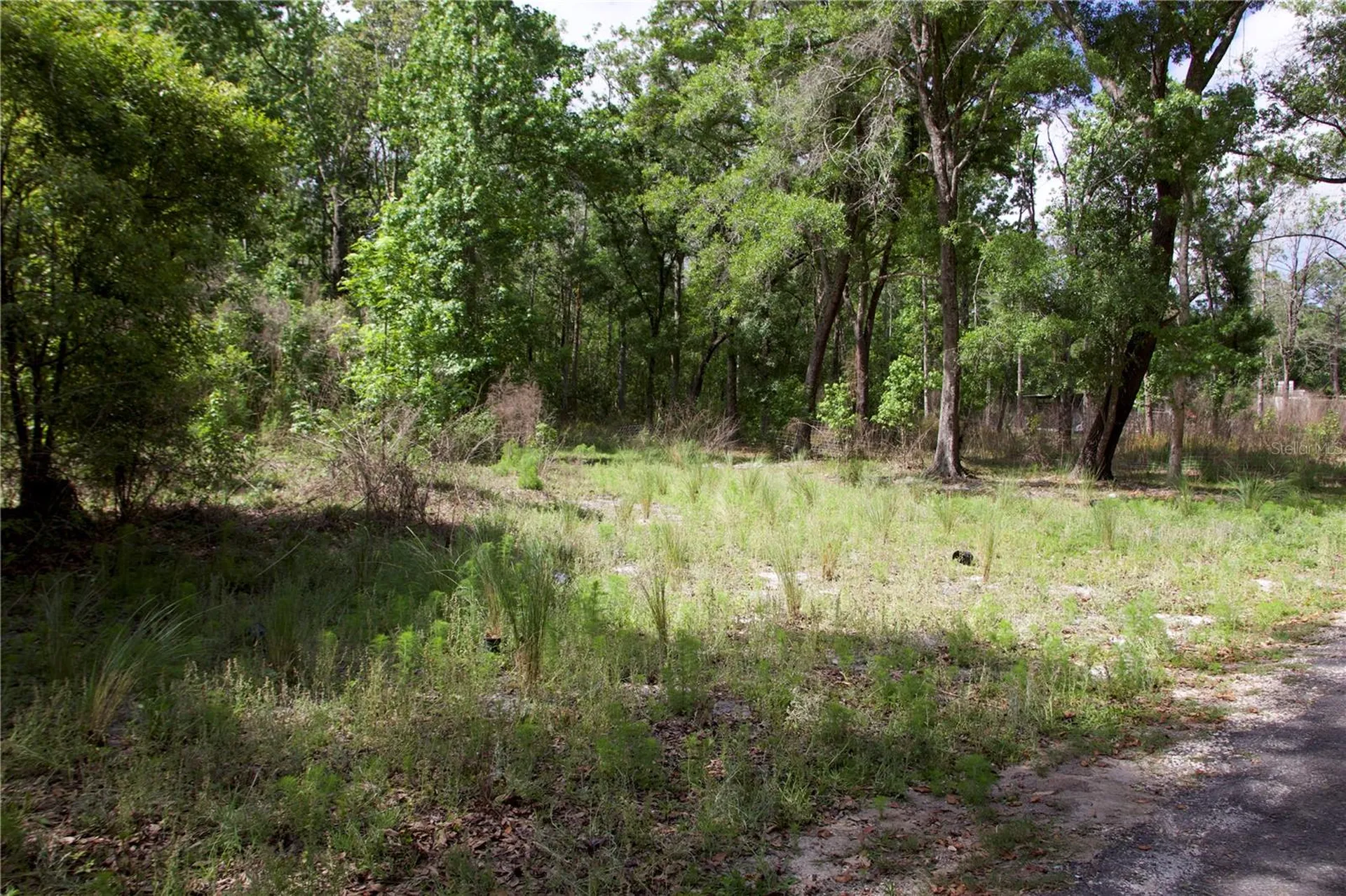 1920 10th Street Orlando FL 32820